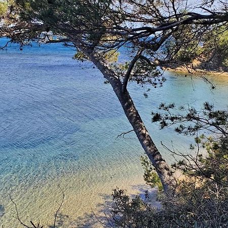 Appartement Dans Residence Avec Piscine La Londe-les-Maures Kültér fotó